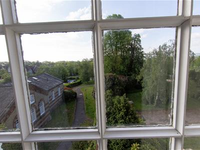 Picture 11